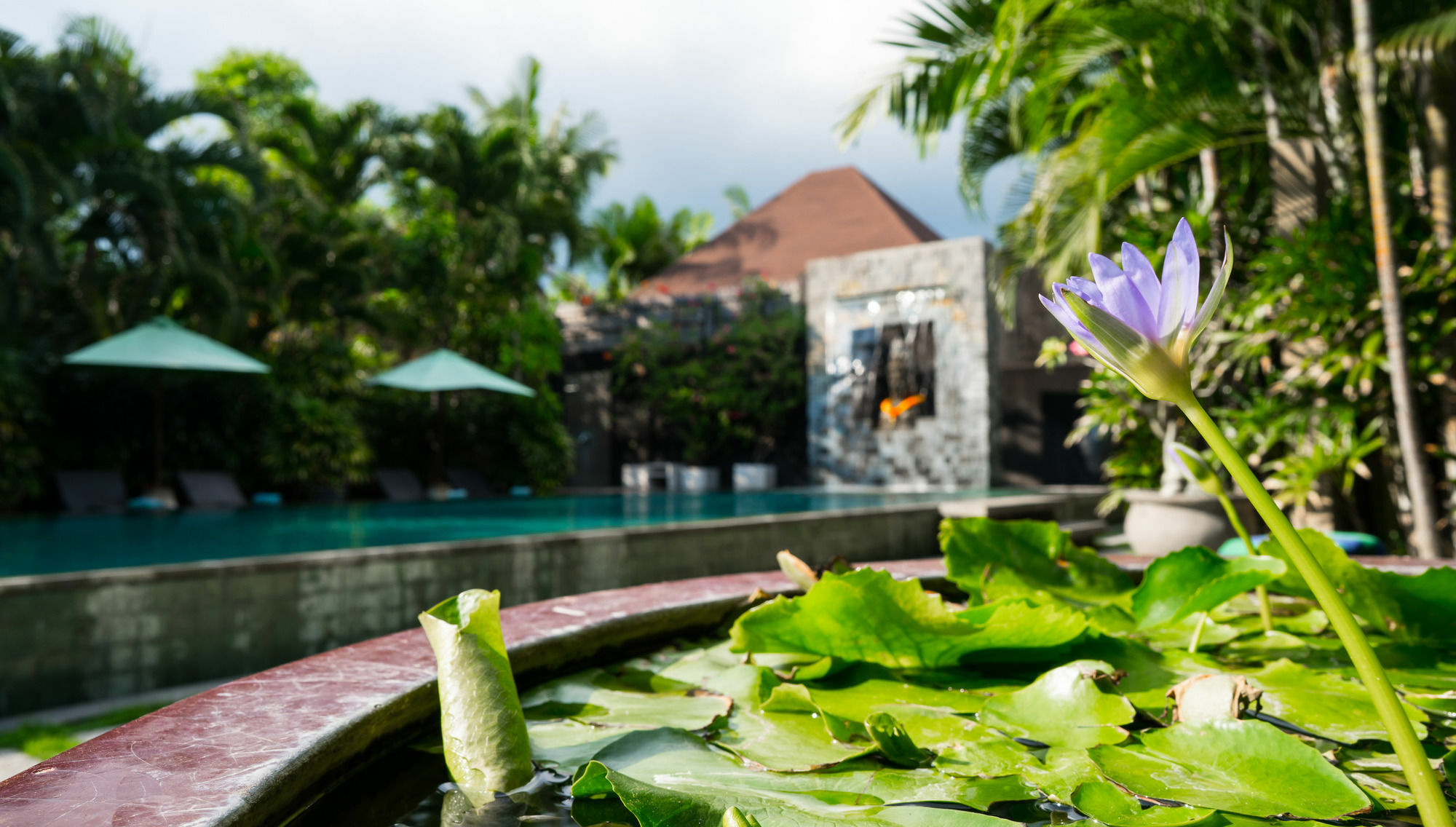 Cicada Luxury Townhouses Seminyak Esterno foto